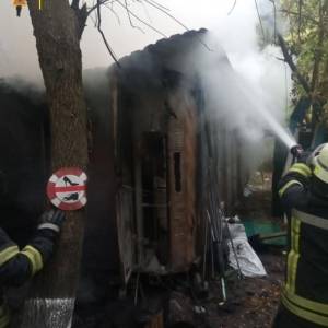 Во время пожара в киевском Гидропарке погиб человек. Фотофакт