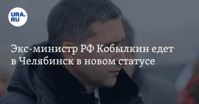 Экс-министр РФ Кобылкин едет в Челябинск в новом статусе