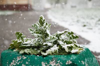 Мокрый снег и гололедица: синоптики дали прогноз погоды на выходные в Кузбассе