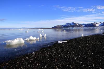 Озоновая дыра в Арктике возникла из-за повышения температуры Тихого океана