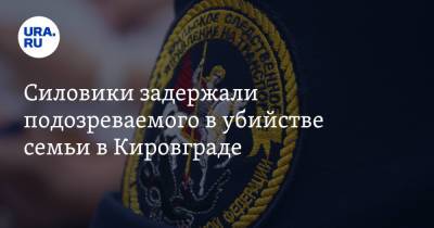 Силовики задержали подозреваемого в убийстве семьи в Кировграде