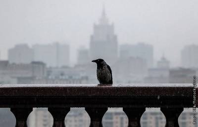 Сентябрь в Москве перевыполнил месячную норму осадков