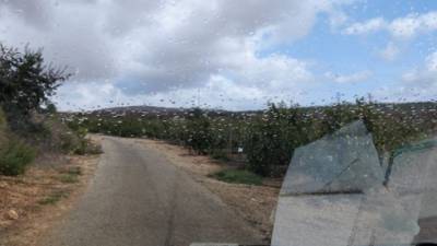 В Израиле прошел первый осенний дождь, в прогнозе на выходные - осадки
