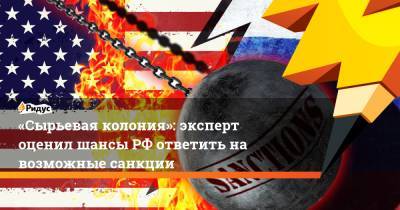 «Сырьевая колония»: эксперт оценил шансы РФ ответить на возможные санкции