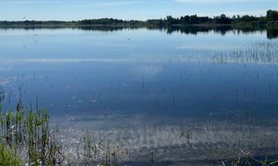 Мужчина утонул в лесном озере в Карелии - gubdaily.ru - район Суоярвский - республика Карелия