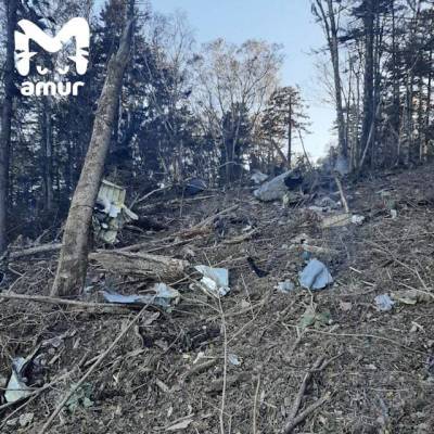 Обломки разбросаны на сотни метров, экипаж погиб: первые кадры с места крушения самолета Ан-26 в России