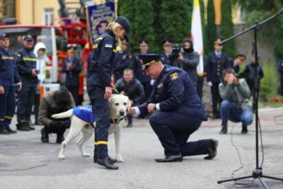 "Бим, твоя миссия выполнена с честью": в Тернополе пса-спасателя провели на пенсию