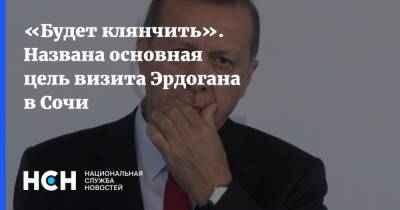 «Будет клянчить». Названа основная цель визита Эрдогана в Сочи