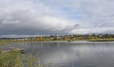 Пермская ЦБК выпустила 6,7 тыс. мальков белого амура в Суксунский пруд за два года