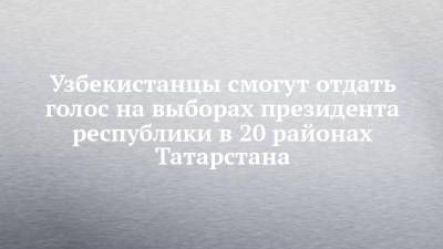 Узбекистанцы смогут отдать голос на выборах президента республики в 20 районах Татарстана