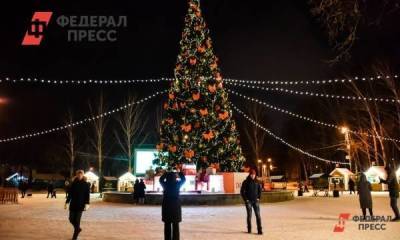 Петербург украсят новогодними елями почти на 100 млн рублей