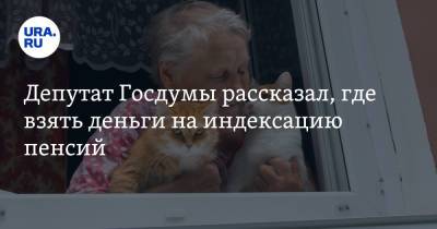 Депутат Госдумы рассказал, где взять деньги на индексацию пенсий