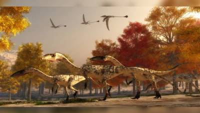 Интересный факт дня: Некоторые динозавры могли вилять хвостом