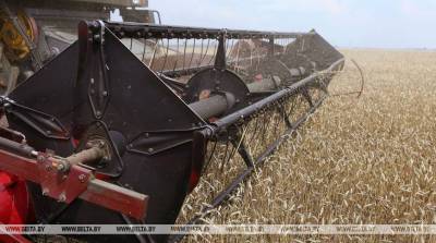 КГК: причиной недобора урожая в Могилевской области стали погодные условия
