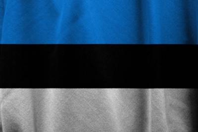 Эстония вручила российскому послу ноту протеста за нарушение воздушной границы