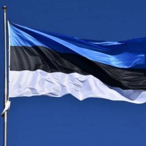 России вручили ноту протеста за нарушение воздушной границы Эстонии
