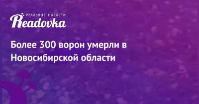 Более 300 ворон умерли в Новосибирской области