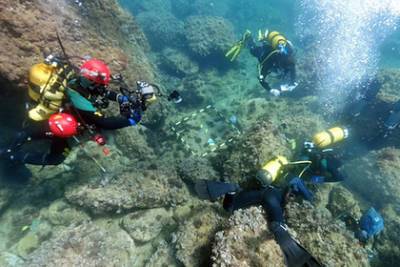 Дайверы обнаружили на дне моря древние сокровища и достали их штопором