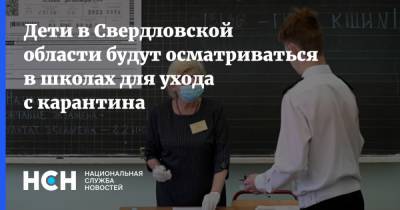 Дети в Свердловской области будут осматриваться в школах для ухода с карантина