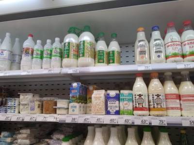 В Башкирии намерены восстановить работу на обанкротившихся молокозаводов