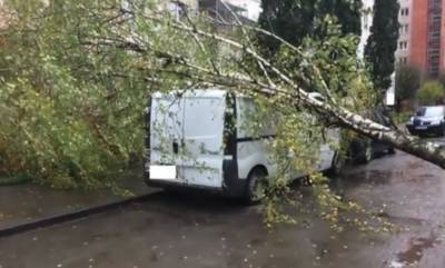 Держитесь подальше от деревьев: ГСЧС объявила в Украине I уровень опасности из-за ураганного ветра
