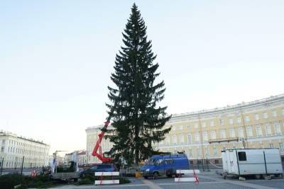 Живая ель снова украсит Дворцовую площадь в этом году в Петербурге: игрушки будут старые