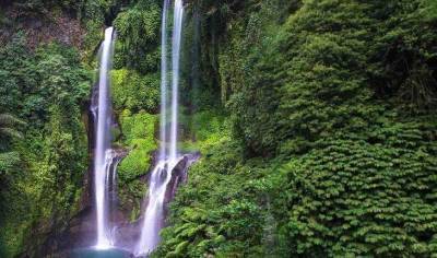 Лучшие водопады Бали: описание, фото, как добраться?