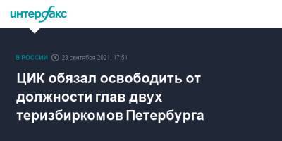 ЦИК обязал освободить от должности глав двух теризбиркомов Петербурга