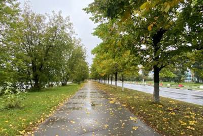 Дожди в Тверской области закончатся в выходные