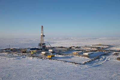 Арктику назвали «климатической бомбой» из-за добычи нефти