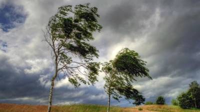 В Калининградской области объявили штормовое предупреждение из-за усиления ветра
