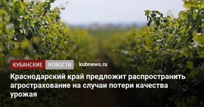 Краснодарский край предложит распространить агрострахование на случаи потери качества урожая