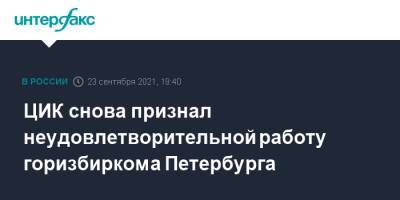 ЦИК снова признал неудовлетворительной работу горизбиркома Петербурга