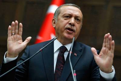 Эрдоган рассчитывает на принятие важного решения на саммите с Путным в Сочи