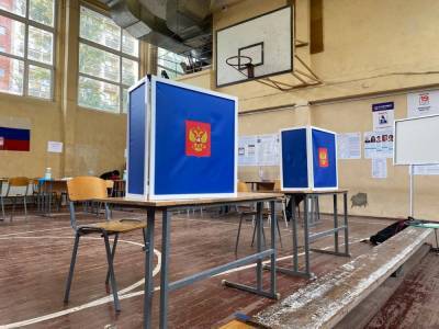«Чудеса изобретательности»: что пошло не так на выборах в Петербурге