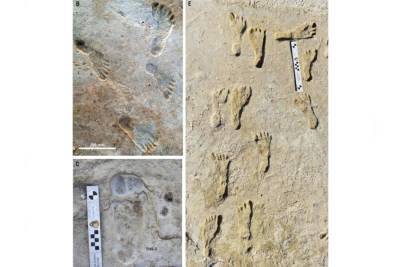 Археологи нашли следы древнейших обитателей Америки