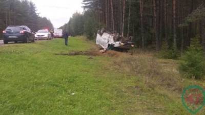 В ДТП в Ленобласти погиб водитель
