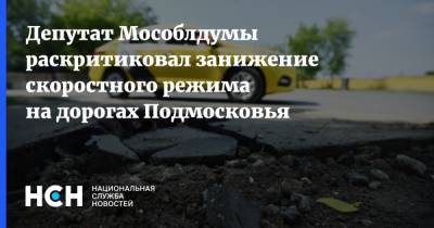 Депутат Мособлдумы раскритиковал занижение скоростного режима на дорогах Подмосковья