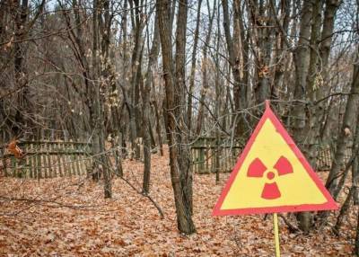 В Чернобыльской зоне обнаружили странную аномалию (фото)
