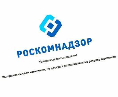 В Роскомнадзоре объяснили необходимость реестра соцсетей в России