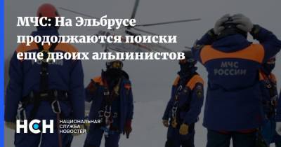 МЧС: На Эльбрусе продолжаются поиски еще двоих альпинистов - nsn.fm - Россия