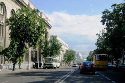 В Курске на улице Ленина появятся шаровидные клены и липы
