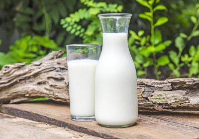 В чем польза молока для здоровья, красоты и приготовления пищи?
