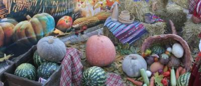 В поселке Нахабино состоится праздник урожая