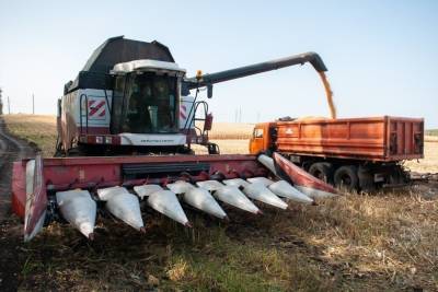 Валовый сбор зерна в Тамбовской области приближается к отметке 3 миллиона тонн