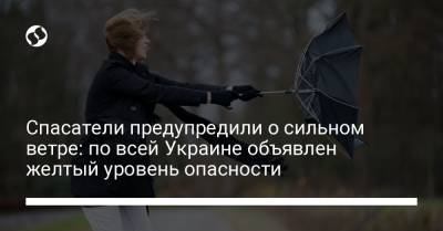 Спасатели предупредили о сильном ветре: по всей Украине объявлен желтый уровень опасности
