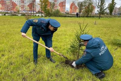 За лопаты взялись работники МЧС ради озеленения «Лугового»