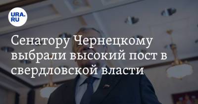Сенатору Чернецкому выбрали высокий пост в свердловской власти