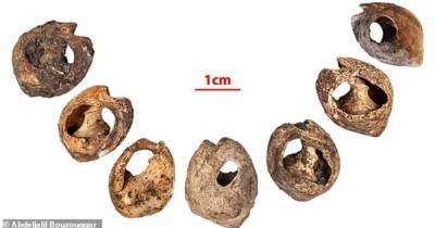 Бусы возрастом 150 тыс. лет. Археологи нашли самые древние в мире ювелирные украшения