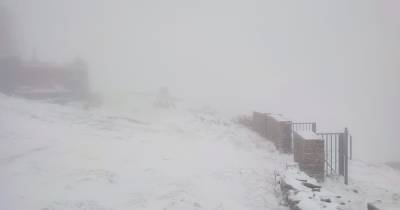 В Карпатах — снег и сильный ветер: спасатели просят туристов не ходить на высокогорье